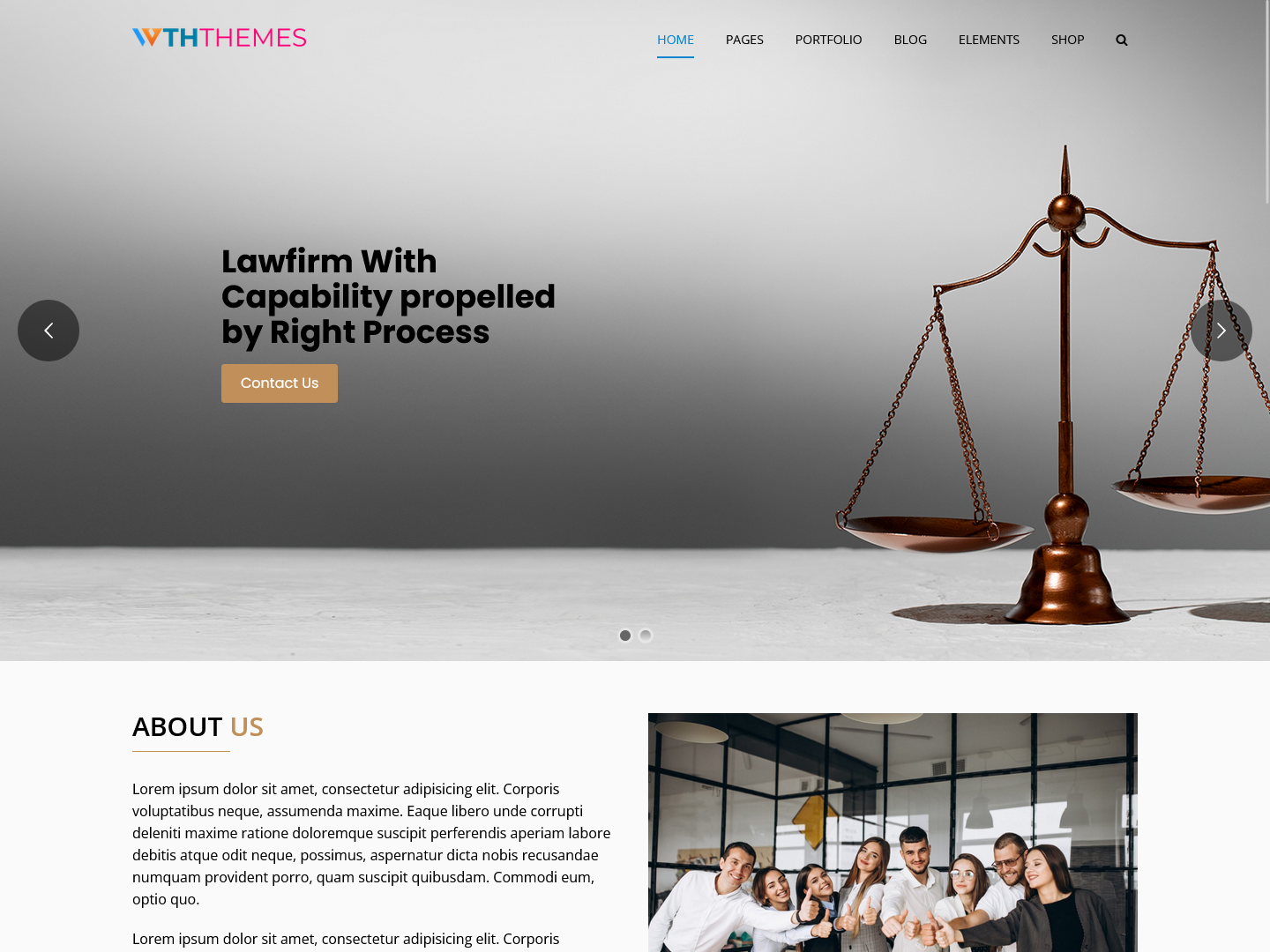 Law Firm WordPress Themes Florida